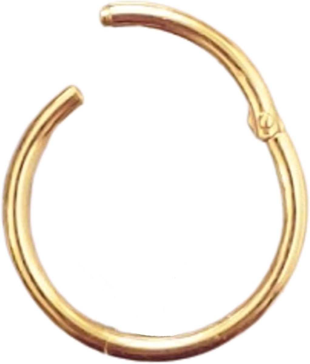 Best PIERCING CLICKER echt 750 goud diameter 6 mm 45067-6 Intiem Helix Septum nieuw modern tragus septum exclusief