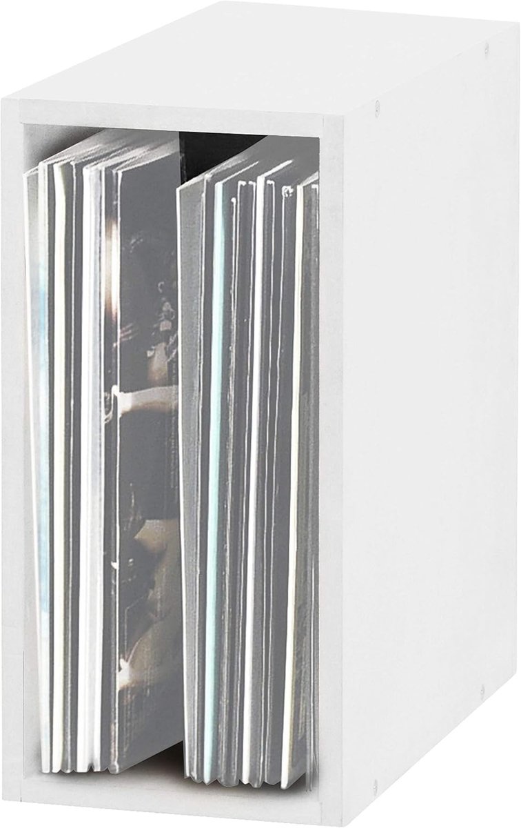 Record box 55 - wit - voor 55 vinylplaten - stijlvolle opslag - SnelShoppen
