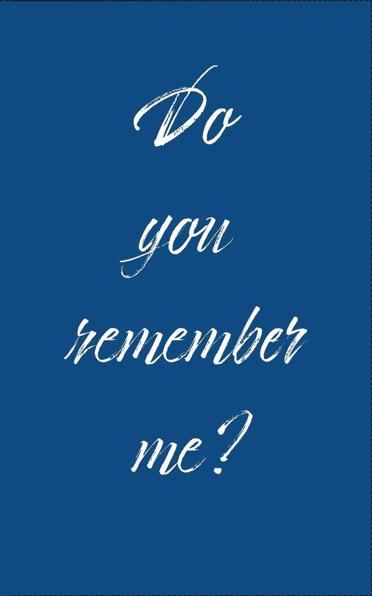 You remember me?: Internet Address Username and Password Logbook