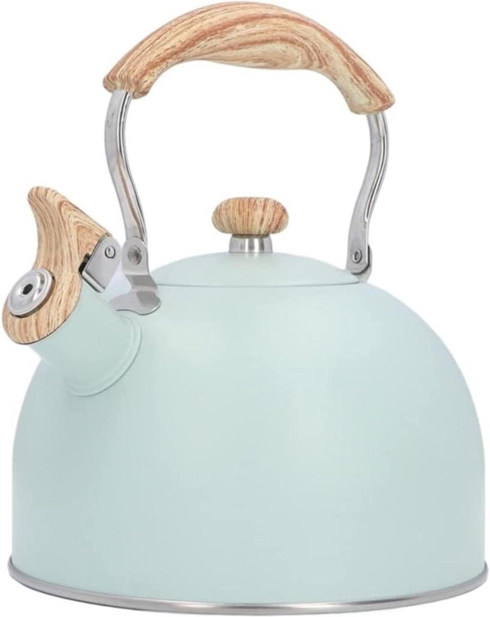 Kookplaat Waterkoker - Fluitketel Theepot - Koffie Thee Zetten - Hittebestendige Handgreep - 25 liter - Zilver