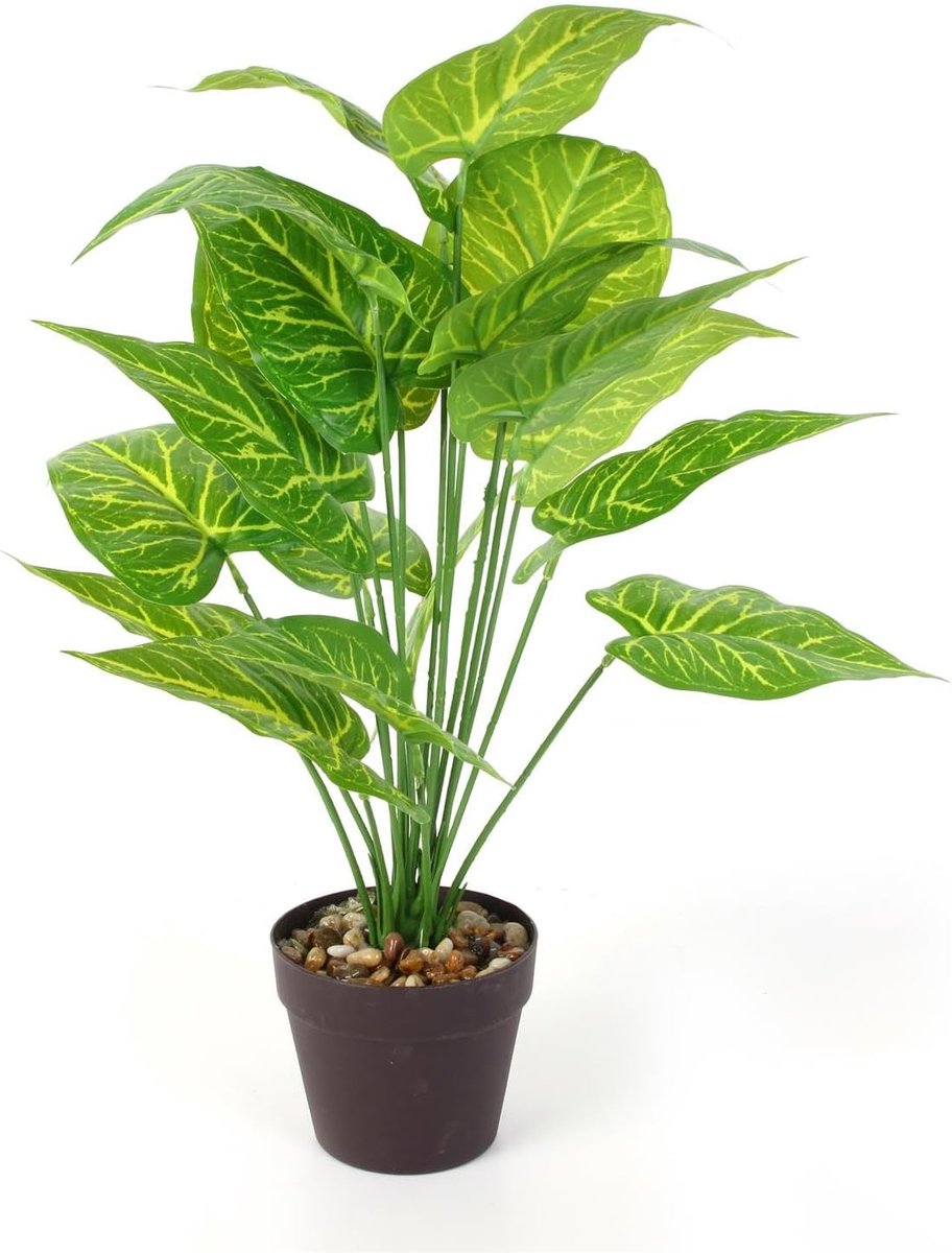 Kunstplant Dieffenbachia - Kunststof - Allergievriendelijk - Eenvoudige verzorging - SnelShoppen