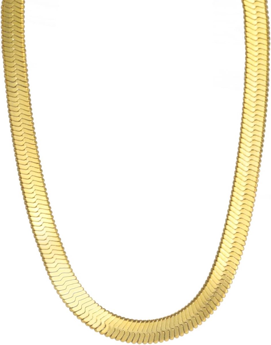 kkjoy Platte roestvrijstalen slangenbeenketting voor dames, 2/3/4/5 mm, meisjes, dames, 38/43/48 cm, verguld/roestvrij staal