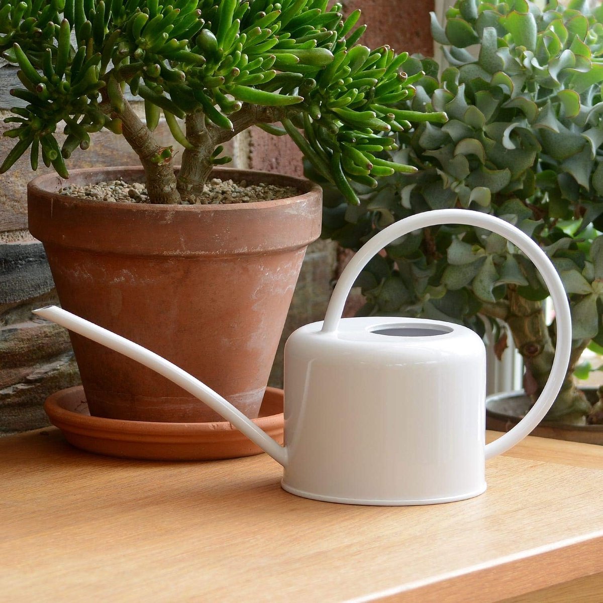 LTD Kleine gieter voor binnen, 1,1 l, verzinkt staal, met poedercoating, krijtkleur, voor kamerplanten, modern design, van metaal met smalle uitloop en hoge handgreep, zilverkleurig