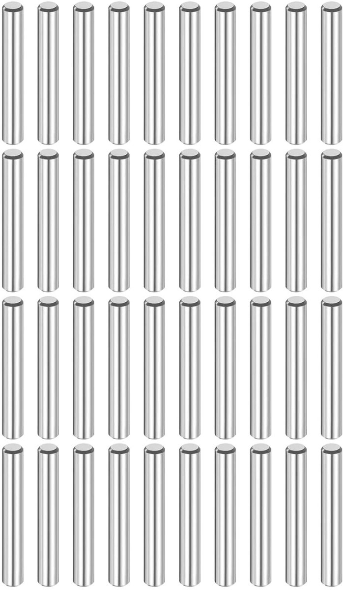 40 stuks 4 mm x 22 mm paspoortpennen 316L roestvrij staal cilindrische paspennen planksteunpennen penstang bevestigingselementen metalen plankpennen zilverkleurig