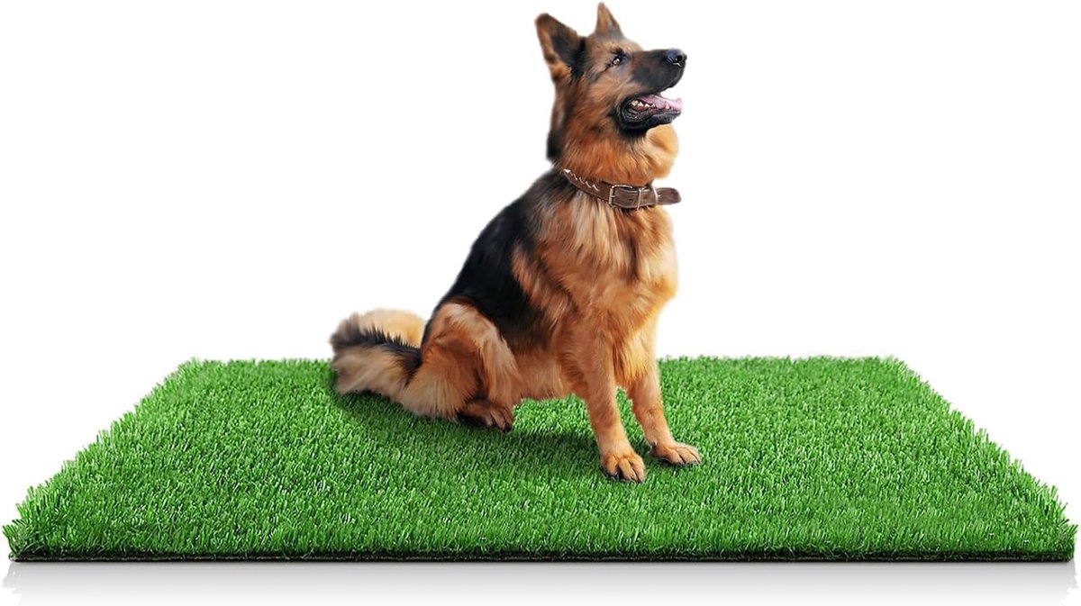 Kunstgrasmat voor Honden 100 x 150 cm - Binnen & Buiten Bruikbaar | Voor Zindelijkheidstraining | Decoratie voor Patio & Gazon