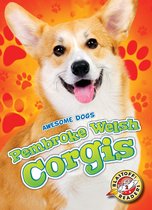 Awesome Dogs - Pembroke Welsh Corgis