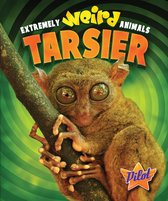 Extremely Weird Animals - Tarsier