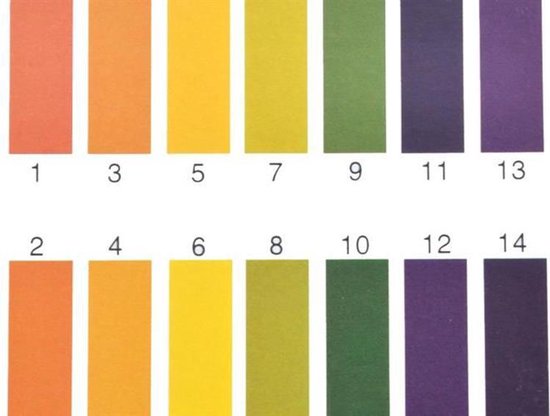 Bol Com Lakmoestest Lakmoespapier Ph Waarde Test Set Van 400 Testpapiertjes