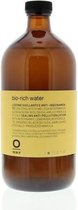 OWAY STYLE BIO-RICH WATER SPRAY SEALING ANTI-POLLUTION LOTION 950ML