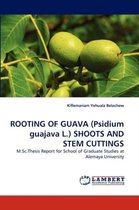 Rooting of Guava (Psidium Guajava L.) Shoots and Stem Cuttings