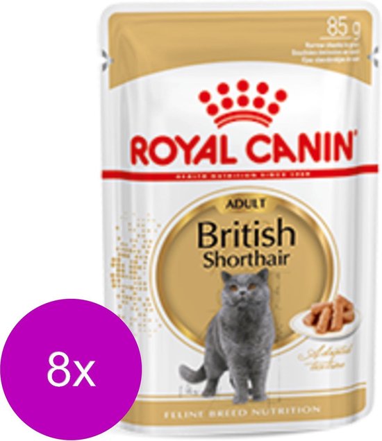 Aas Signaal Grondwet Royal Canin Fbn British Shorthair Adult Pouch - Kattenvoer - 8 x 12x85 g |  bol.com