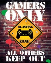 GAMERS ONLY - Mini Poster 40X50 - Controller Keep Out
