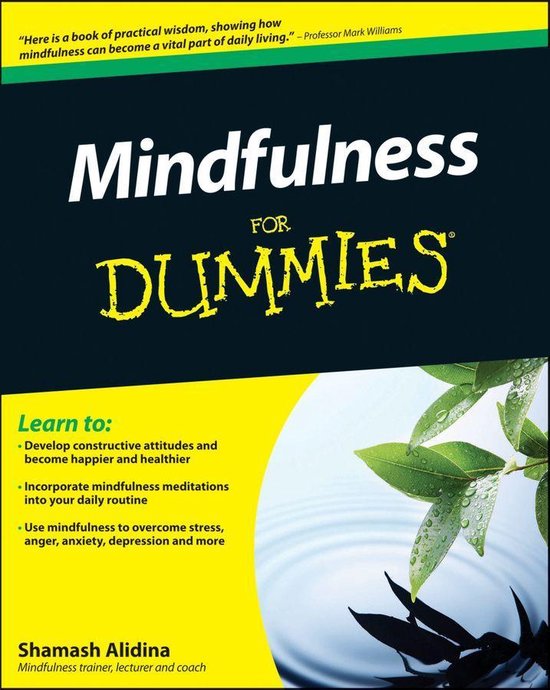 Mindfulness For Dummies (ebook), Shamash Alidina 9780470663752