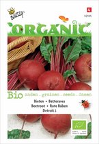 Buzzy® Organic Bieten Detroit (BIO)