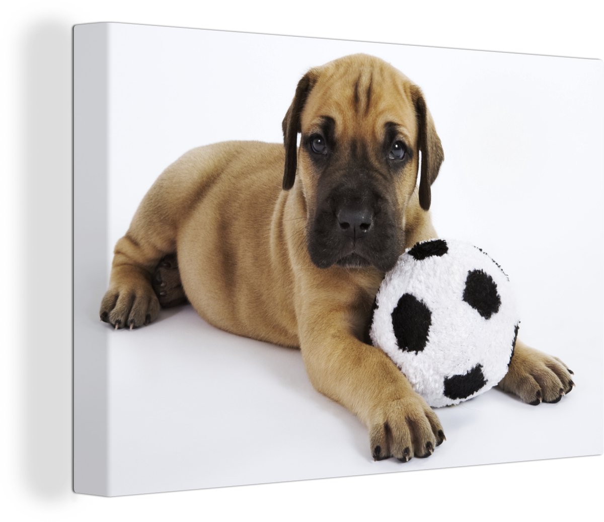 Canvas Schilderij Een bruine puppy met een voetbal - 30x20 cm - Wanddecoratie