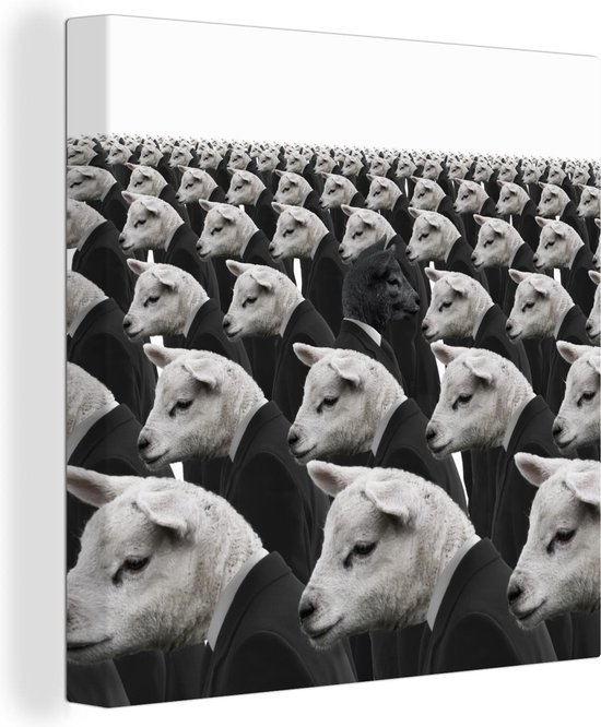 Brengen Schadelijk Dom Canvas Schilderijen - Zwart schaap tussen witte schapen - 50x50 cm -  Wanddecoratie | bol.com