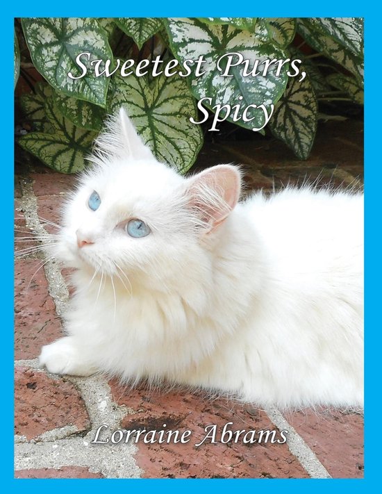 The Adventures of Spicy 4 - Sweetest Purrs, Spicy - cover