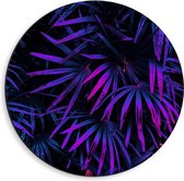 Dibond Wandcirkel - Blauw/Paarse Smalle Planten - 40x40cm Foto op Aluminium Wandcirkel (met ophangsysteem)