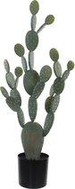 Mica Decorations Cactus Kunstplant - L55 x B20 x H112 cm - Groen
