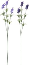 J-Line Lavendel Plastiek Licht/Donker Paars Large Assortiment Van 2