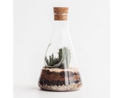 Suck UK Chemistry Terrarium Kit
