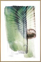 JUNIQE - Poster met kunststof lijst Jurassic Cycad -60x90 /Groen & Wit