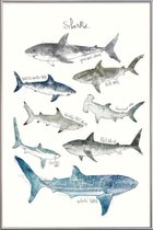 JUNIQE - Poster met kunststof lijst Haaien illustratie -60x90 /Blauw &