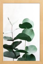 JUNIQE - Poster met houten lijst Eucalyptus 5 -13x18 /Groen & Wit