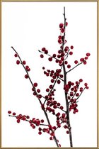 JUNIQE - Poster met kunststof lijst Red Berries 2 -60x90 /Rood & Wit