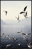JUNIQE - Poster met kunststof lijst Meeuwen foto -13x18 /Blauw & Wit