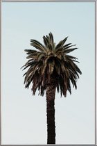 JUNIQE - Poster met kunststof lijst Palmtree -20x30 /Bruin & Groen