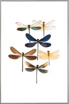 JUNIQE - Poster met kunststof lijst Libellen -40x60 /Blauw & Bruin