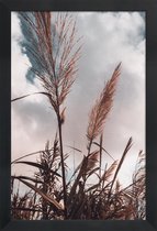 JUNIQE - Poster in houten lijst Grass II -60x90 /Bruin & Wit