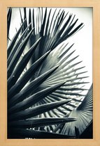 JUNIQE - Poster in houten lijst Palm Shade 2 -40x60 /Grijs & Groen