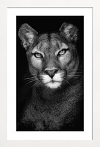 JUNIQE - Poster in houten lijst Lioness -60x90 /Grijs & Zwart