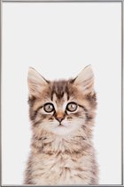 JUNIQE - Poster met kunststof lijst Kitten II -60x90 /Bruin & Grijs