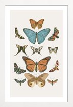 JUNIQE - Poster in houten lijst Vlinders -20x30 /Grijs & Ivoor
