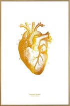 JUNIQE - Poster met kunststof lijst Human Heart gouden -20x30 /Goud &