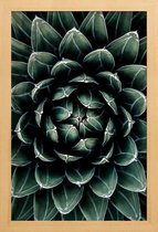 JUNIQE - Poster met houten lijst Cactus hart -13x18 /Groen