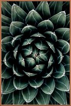 JUNIQE - Poster met kunststof lijst Cactus hart -40x60 /Groen