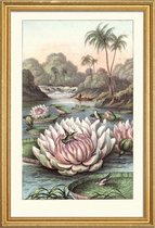 JUNIQE - Poster met houten lijst Water Lily -13x18 /Grijs & Groen