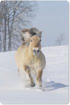 Muismat De fjord - Rennend fjord paard in de sneeuw muismat rubber - 18x27 cm - Muismat met foto