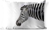 Buitenkussens - Tuin - Zebra voor witte achtergrond - 50x30 cm