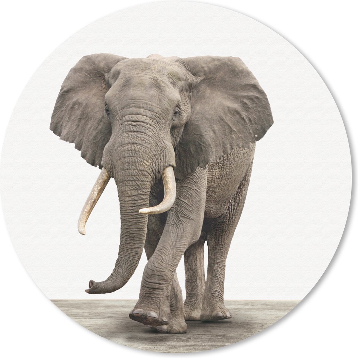 Muismat Animalprintshop - Olifant dierenprint Muismat rond - 30x30 cm - Muismat met foto