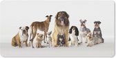 Muismat Honden - Groepsportret van honden muismat rubber - 80x40 cm - Muismat met foto