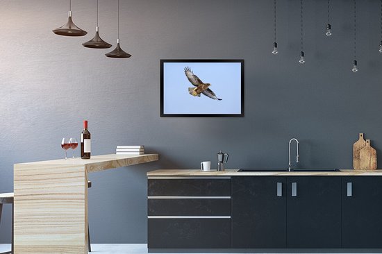 Foto in lijst - Buizerd tijdens de vlucht in Duitsland fotolijst zwart 60x40 cm - Poster in lijst (Wanddecoratie woonkamer / slaapkamer)
