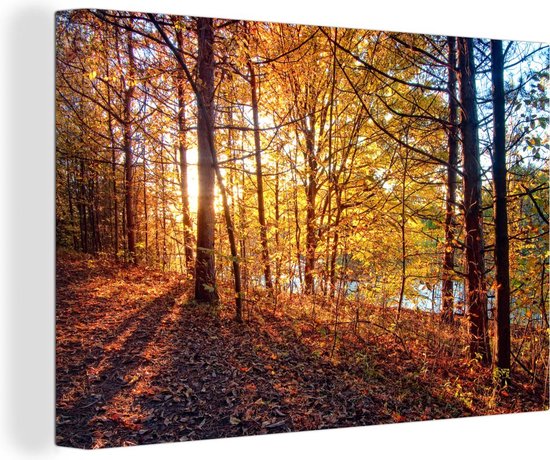 Le soleil d'automne brille sur les feuilles d'une forêt Toile 60x40 cm - Tirage photo sur toile (Décoration murale salon / chambre)