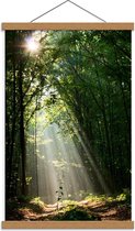 Schoolplaat – Zon Schijnend door Groen Bos - 40x60cm Foto op Textielposter (Wanddecoratie op Schoolplaat)