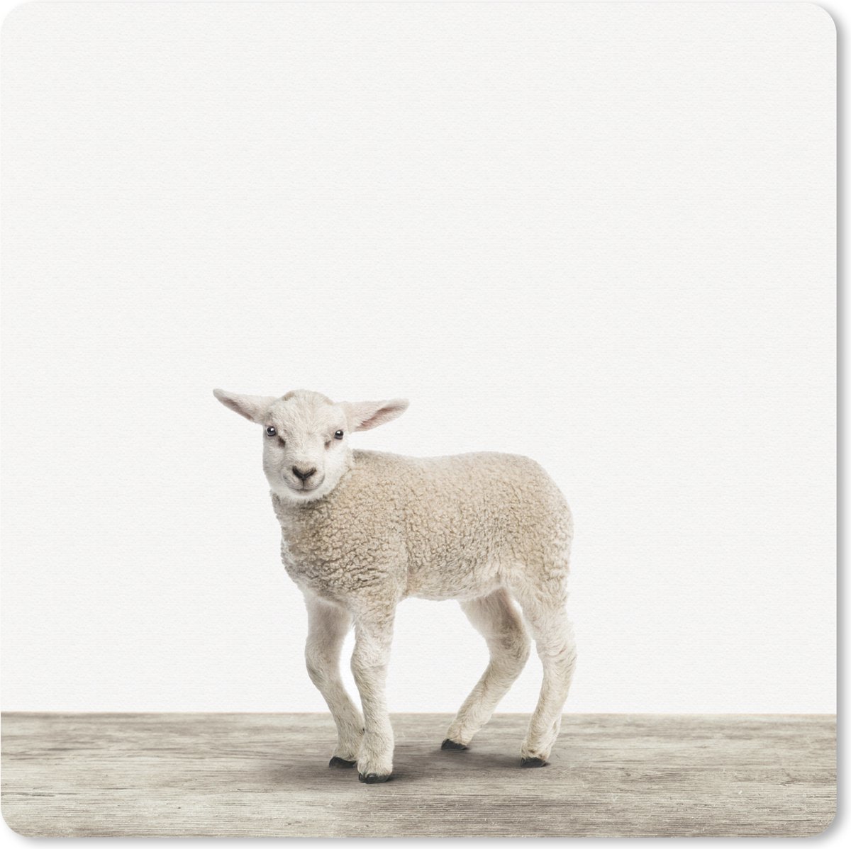 Muismat Animalprintshop - Lammetje dierenprint muismat rubber - 20x20 cm - Muismat met foto