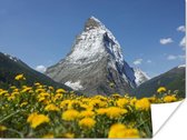 Poster De Matterhorn in Zwitserland boven een paardebloemweide - 160x120 cm XXL